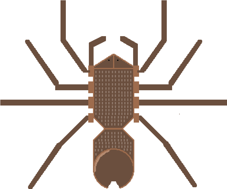 Tarantula State - Insect Clipart (1000x1000), Png Download