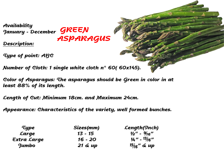 Contact - - Asparagus Clipart (1280x489), Png Download