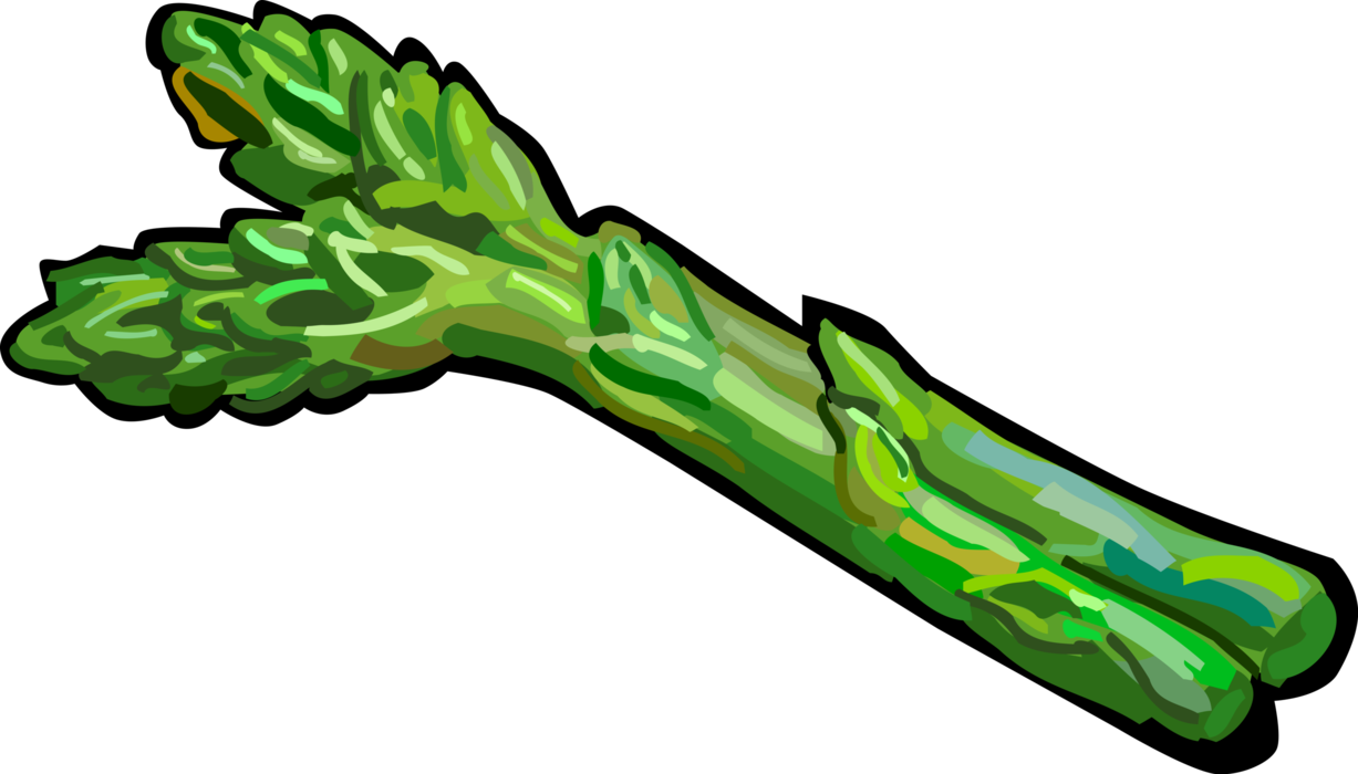 Vector Illustration Of Vegetable Asparagus Spears - Asparagus Clipart Transparent Background - Png Download (1227x700), Png Download