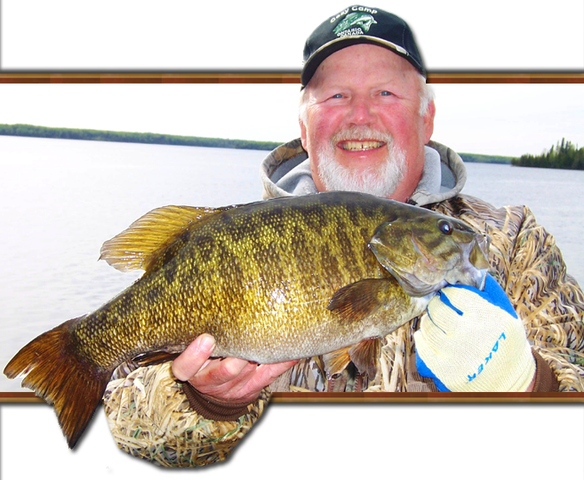 Smallmouth Bass Are Not The Dominant Species In The - Bass Fish Ontario Clipart (657x540), Png Download