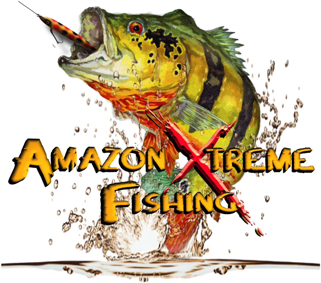 Download Pdf - Team Fishing Peacock Bass Clipart (1111x1110), Png Download