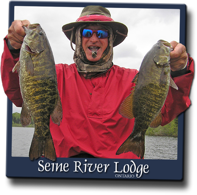 Take Advantage Of The Seine Chain For Some World Class - Bass Clipart (692x686), Png Download