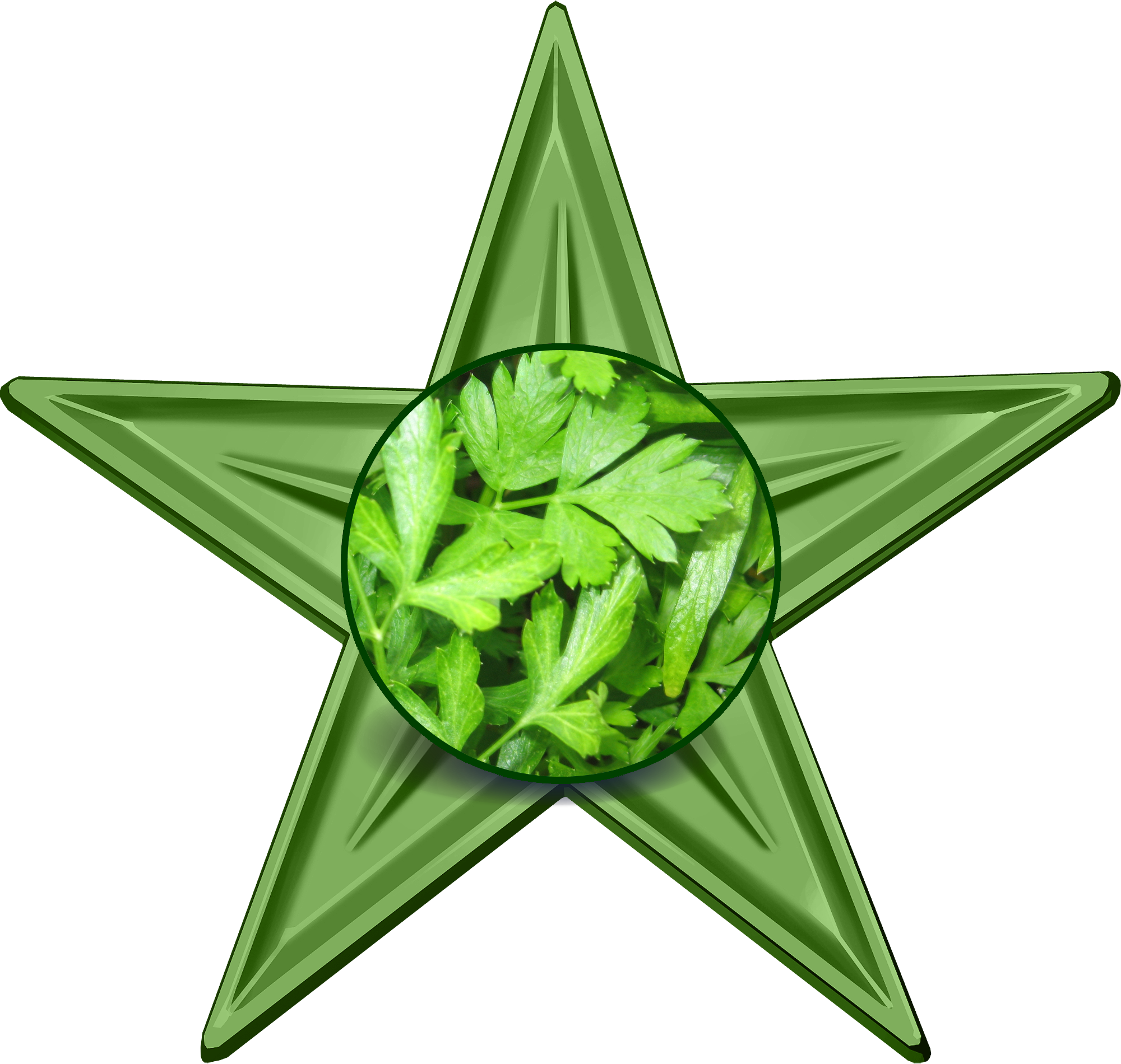 Parsley Barnstar - Contact Us Clipart (2000x1900), Png Download