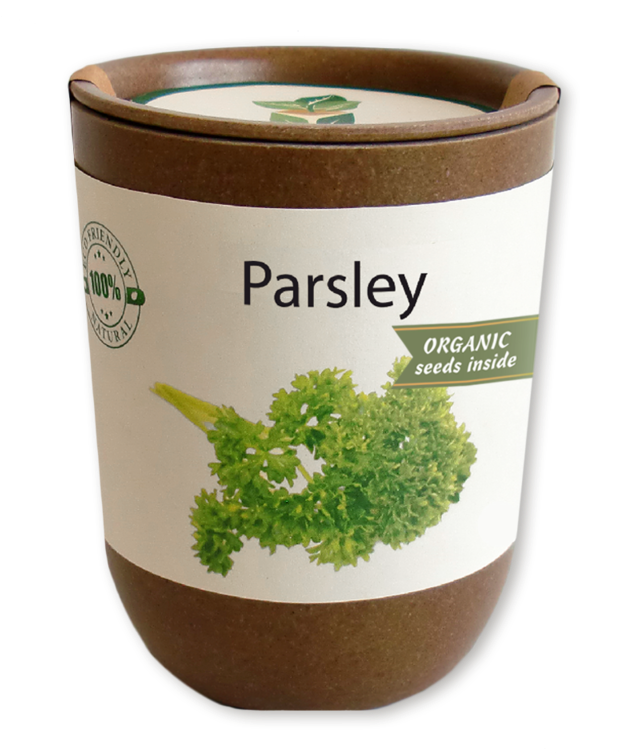 Coffee Clipart (800x800), Png Download