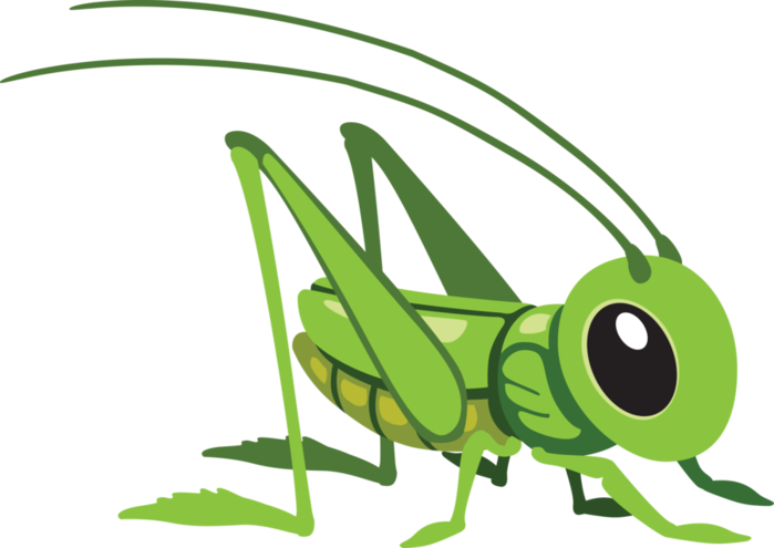 Cartoon Grasshopper Clipart (699x495), Png Download