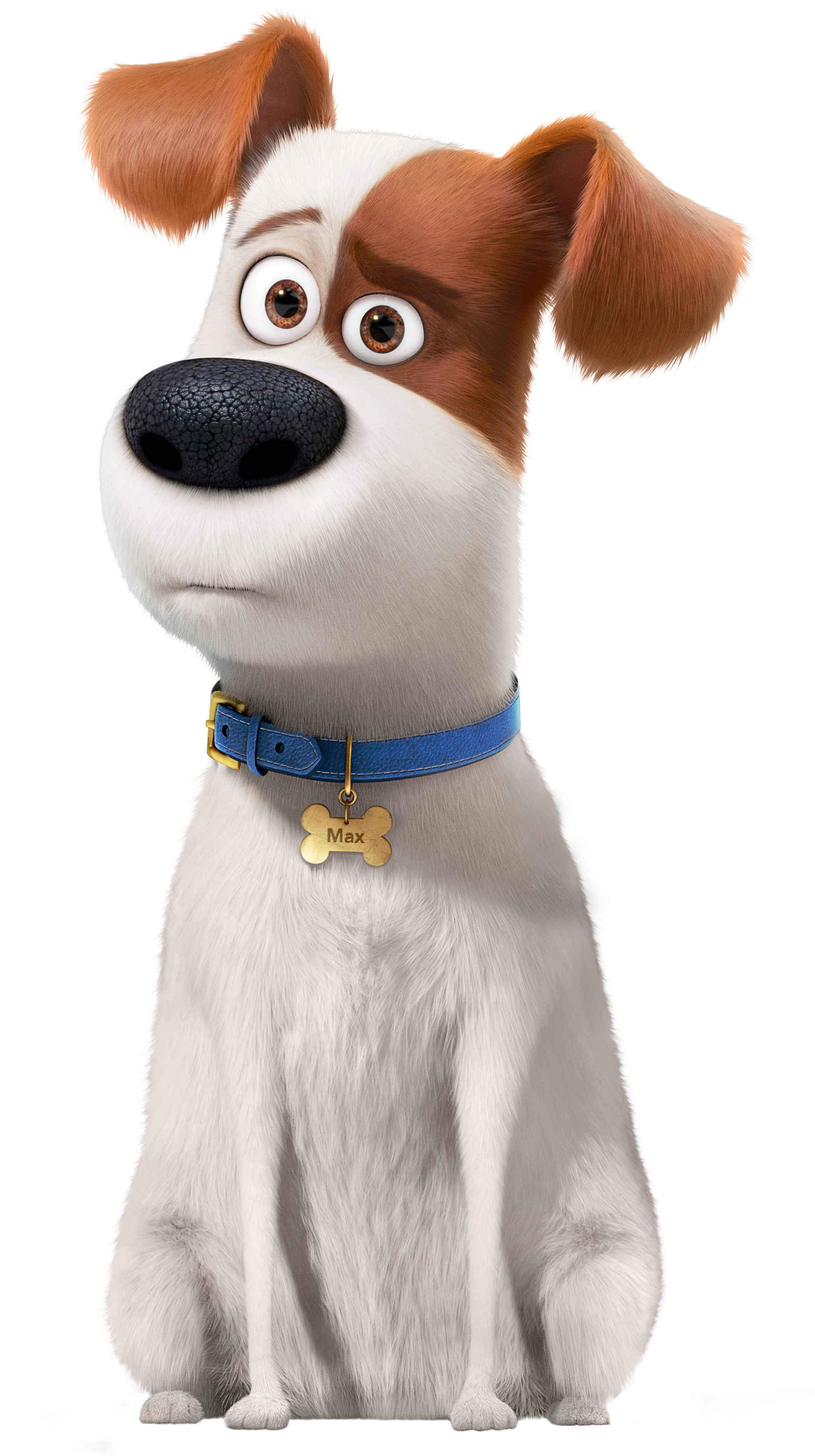 The Secret Life Of Pets Max Transparent Png Image - Max From Secret Life Of Pets Clipart (1888x3288), Png Download