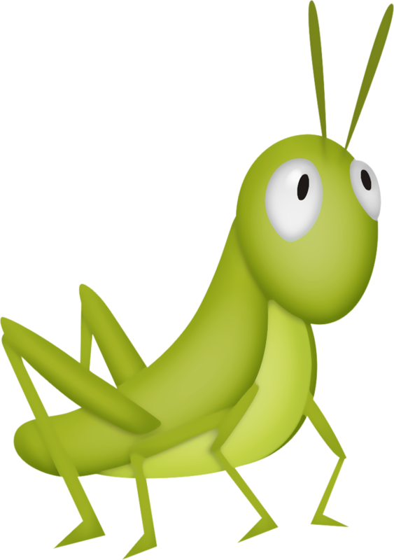 Grasshopper Clipart Green Thing - Clipart Grasshoppers - Png Download (563x800), Png Download