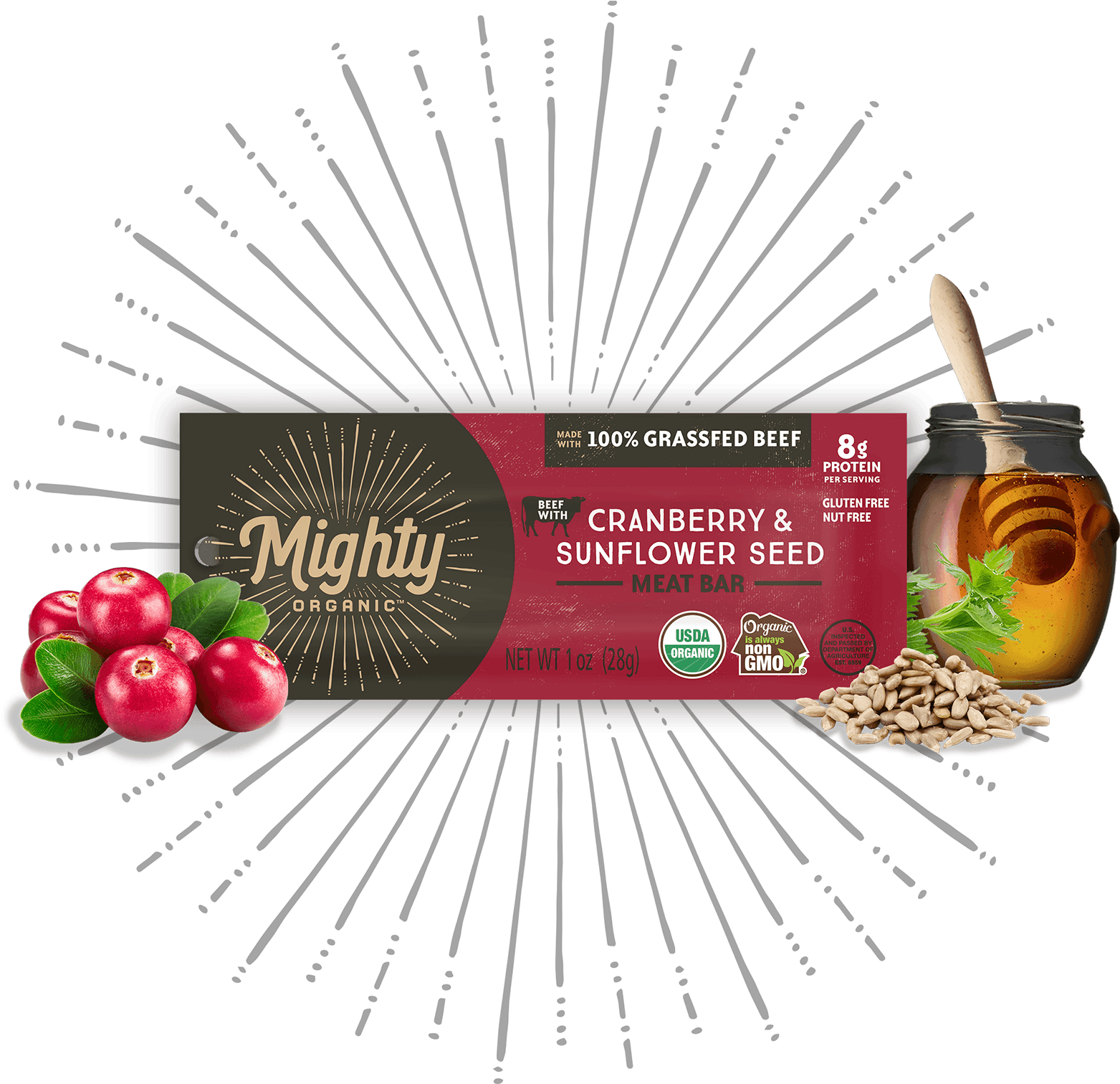 Cranberry & Sunflower Seed - Natural Foods Clipart (1650x1513), Png Download