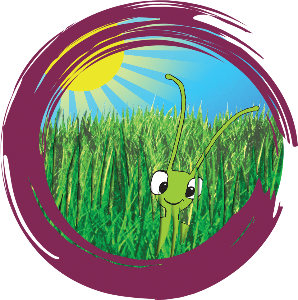 New Star Soccer 2010 Pc Clipart (964x1000), Png Download