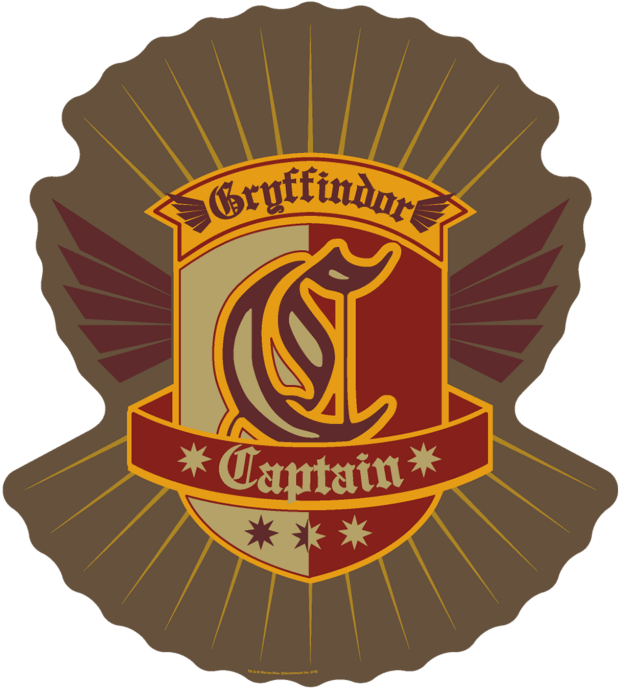 Gryffindor Png - Harry Potter Quidditch Patch Clipart (635x705), Png Download