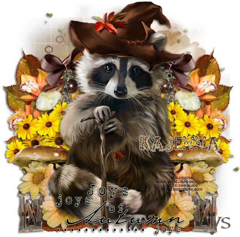 Racoon Ptu Tut , Png Download Clipart (788x775), Png Download