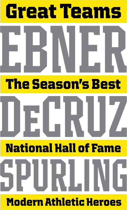 Bruins Specimen - Poster Clipart (519x859), Png Download