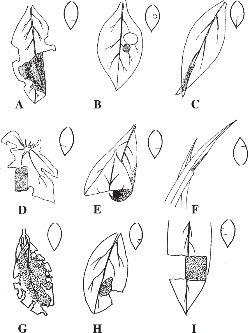 Group Ii, Group I, And Group Iii Shelters - Sketch Clipart (850x1149), Png Download