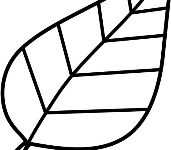 Leaf Outline Cliparts - Leaf Clipart Images Black And White - Png Download (640x480), Png Download