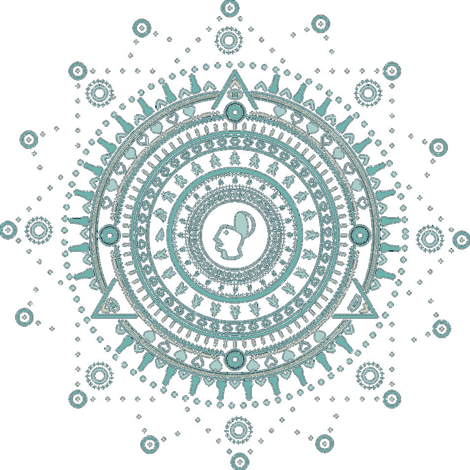 Oval Chainring Tt 56 Wide Narrow Clipart (954x954), Png Download