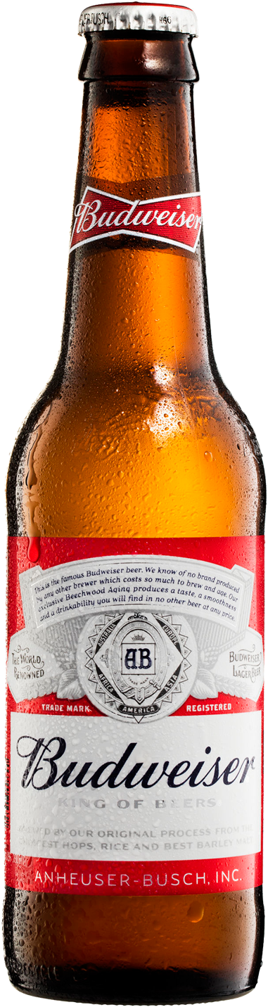 Budweiser Png - Budweiser Bottle Png Clipart (1600x2000), Png Download