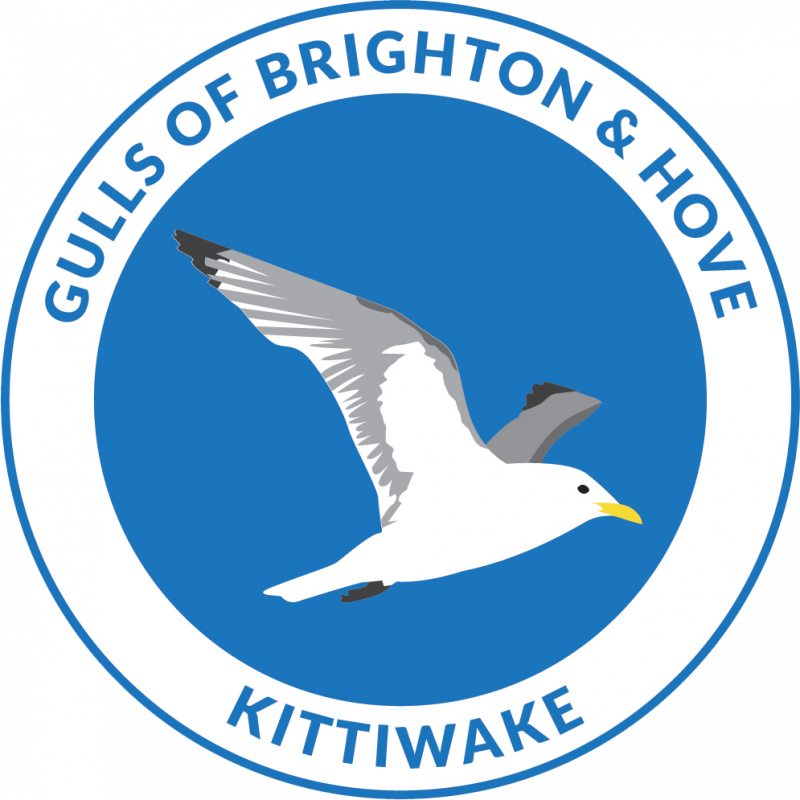 Black-headed Gull - Usc Paloma Logo Clipart (800x800), Png Download