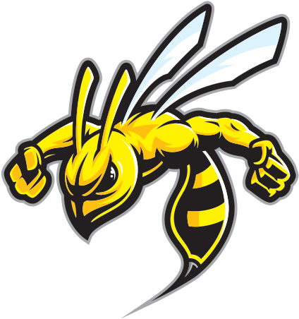 Hornet Clipart Wasp Sting - Hornet Club Srilanka - Png Download (600x600), Png Download