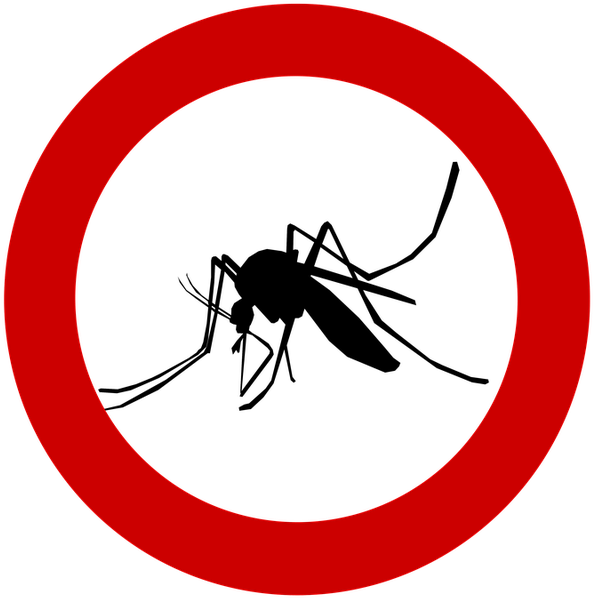 No Cats Allowed Meme Clipart (640x640), Png Download