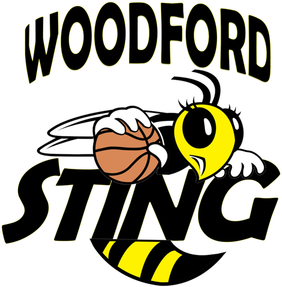 Woodford Sting - Charlotte Sting Clipart (800x800), Png Download
