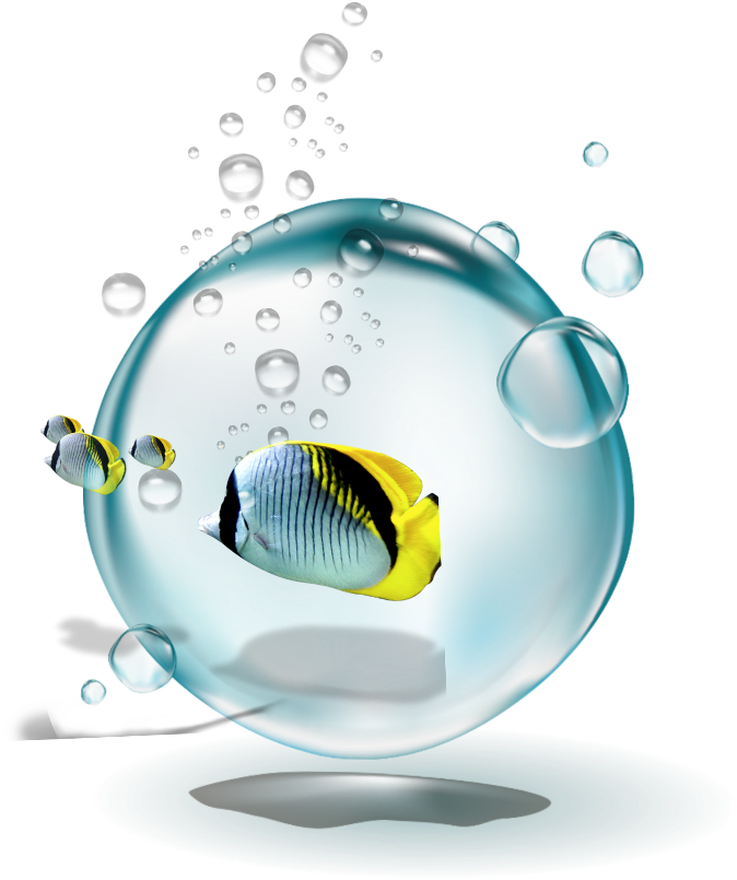 #ftestickers #water #bubbles #fish #yellow - Circle Clipart (1024x1024), Png Download