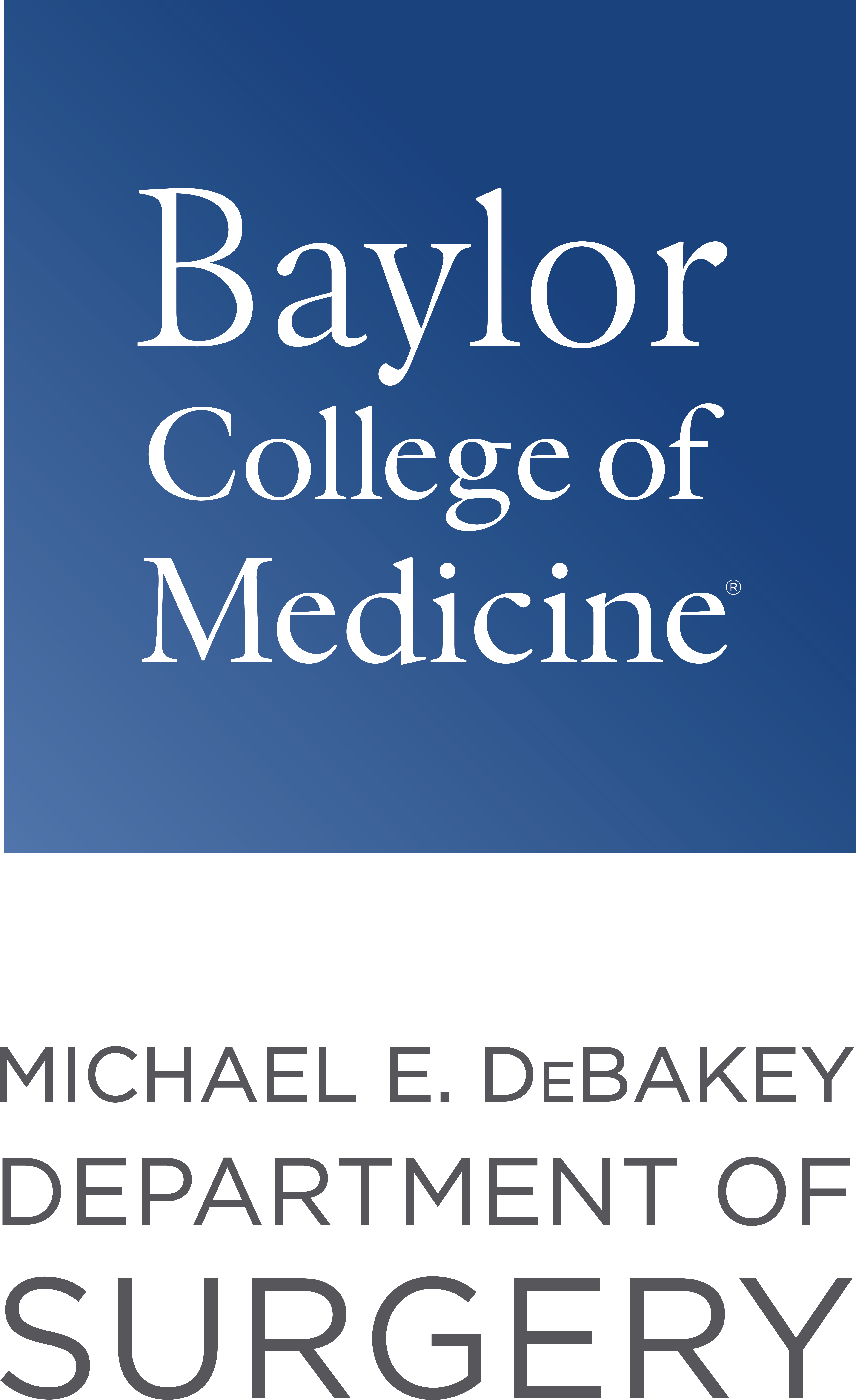 Chief Of Bariatric Surgery, Baylor College Of Medicine Clipart (5435x8886), Png Download