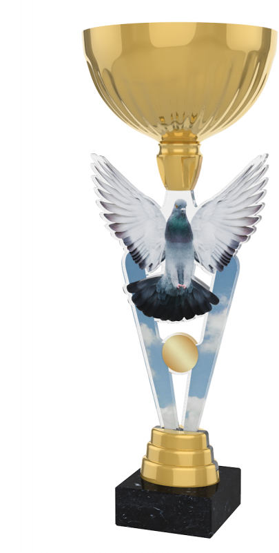 London Pigeon Racing Cup Trophy - Pigeon Racing Trophy Clipart (800x800), Png Download