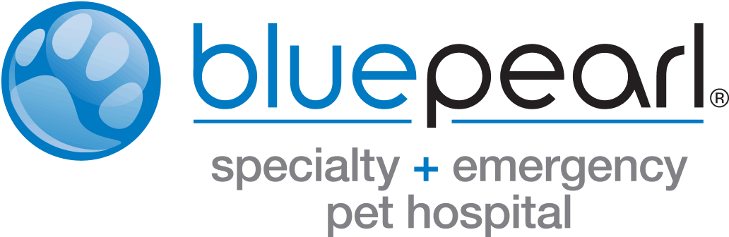 Blue Pearl Vet Logo Clipart (1046x350), Png Download