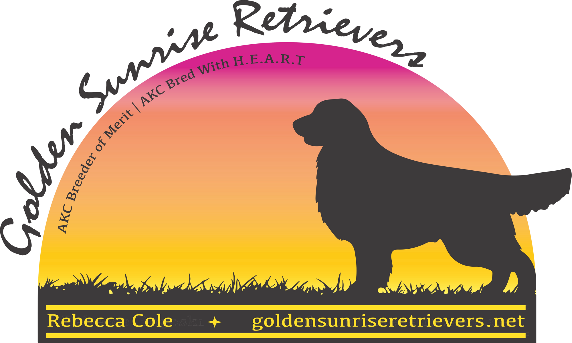 international National Honors Championriver Rock Steadmor's - Golden Retriever Clipart (1999x1200), Png Download