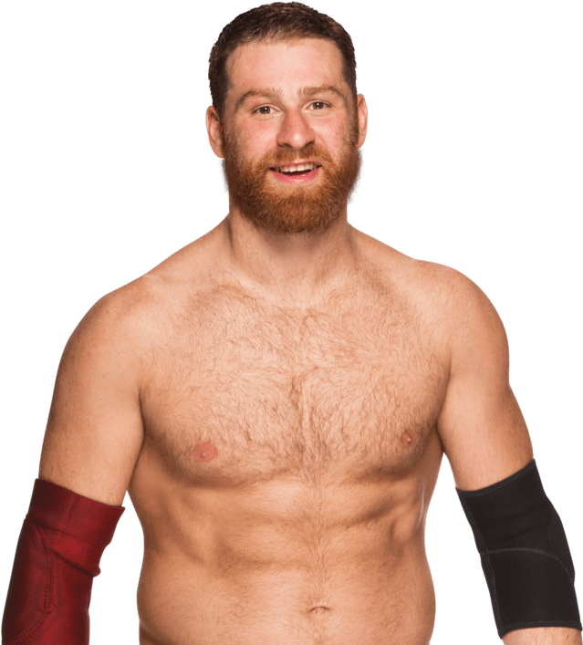 Celebrities - Wwe Sami Zayn Png Clipart (1024x724), Png Download