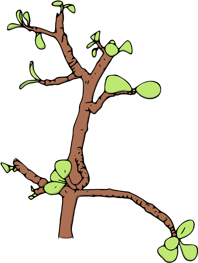 Money Tree Png - Illustration Clipart (938x1000), Png Download