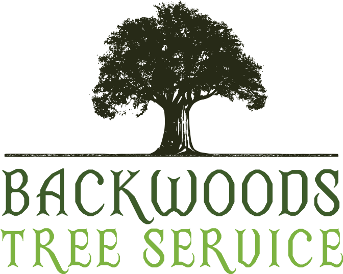 Backwoods Tree Service Logo Backwoods Tree Service - Illustration Clipart (757x539), Png Download