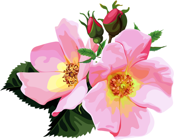 Rose Bouquet Cl - Flower Design Clipart Transparent - Png Download (800x652), Png Download