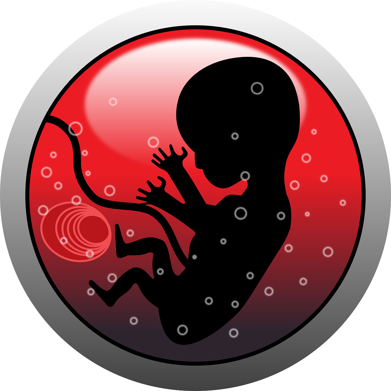 Embryo Human Infant - Abortion Png Clipart (1280x1280), Png Download