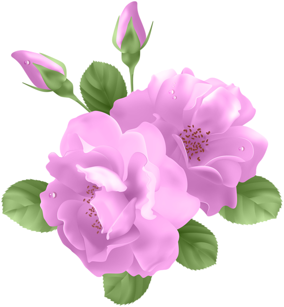 Wafer Paper Flowers, Borders And Frames, Vintage Heart, - Lilac Rose Clipart - Png Download (556x600), Png Download
