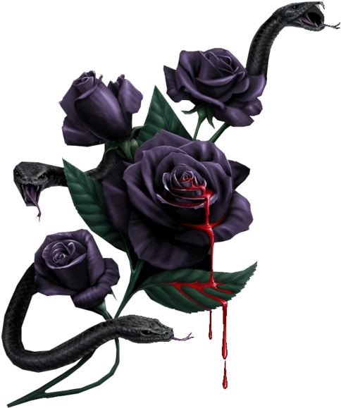 Snakes Roses - Snake And Rose Png Clipart (800x600), Png Download