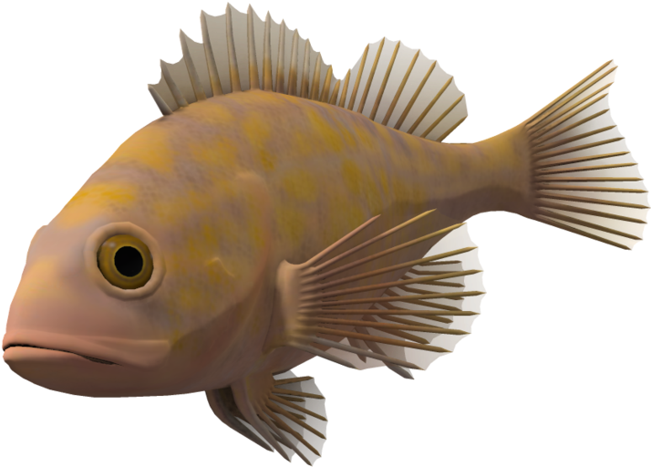 Ocean Fish Transparent Background Clipart (1024x639), Png Download