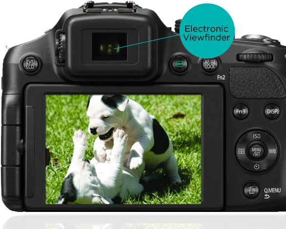 Viewfinder - Fz200 Back Clipart (615x600), Png Download