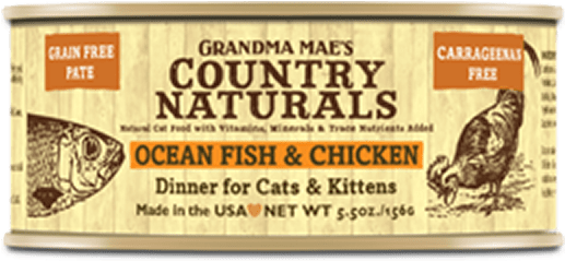 House Sparrow Clipart (600x600), Png Download