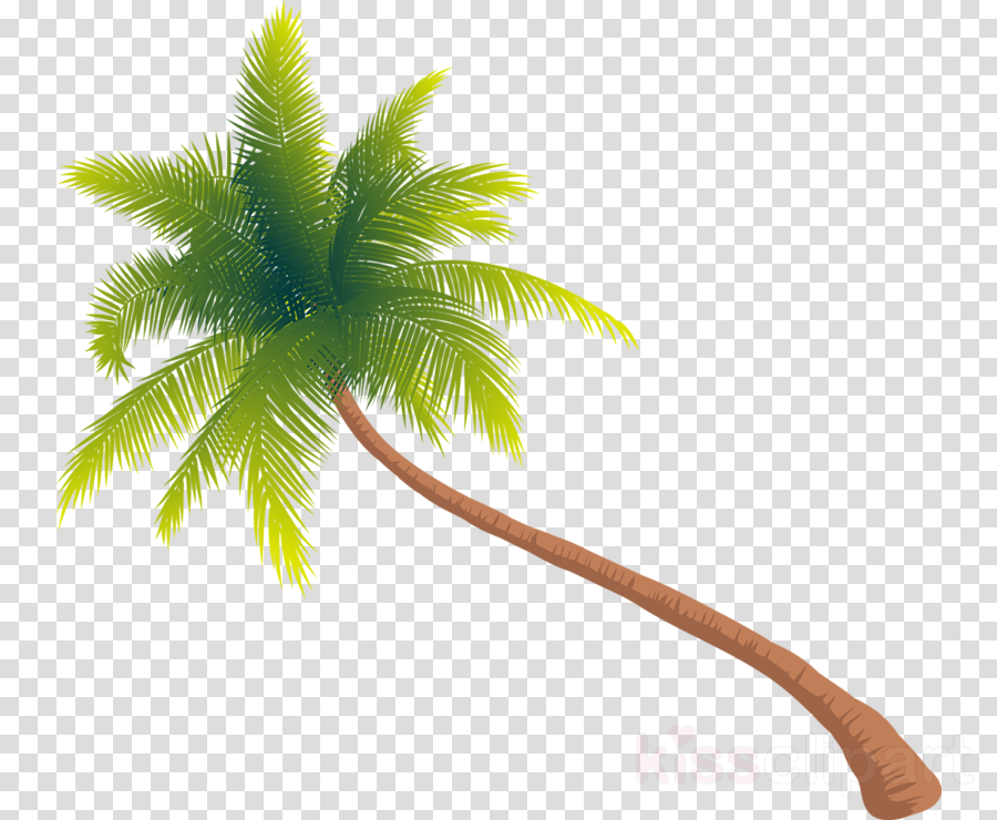 Download Tree Png Gif Clipart Palm Trees Clip Art Tree - Transparent Palm Tree Gif (900x740), Png Download