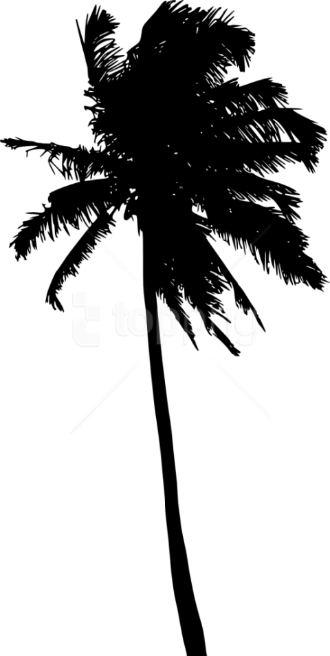 Free Png Palm Tree Silhouette Png - Silhouette Clipart (480x953), Png Download