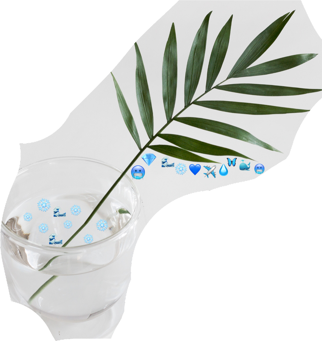 Blue Emoji Challenge Water Nature Plants Stayhydrated - Houseplant Clipart (1024x1084), Png Download