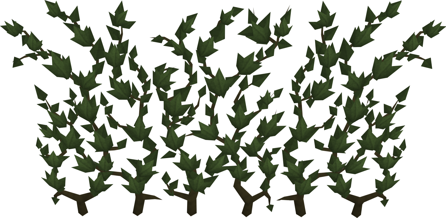 Runescape Wiki Fandom Powered By Wikia - Runescape Ivy Clipart (1523x746), Png Download