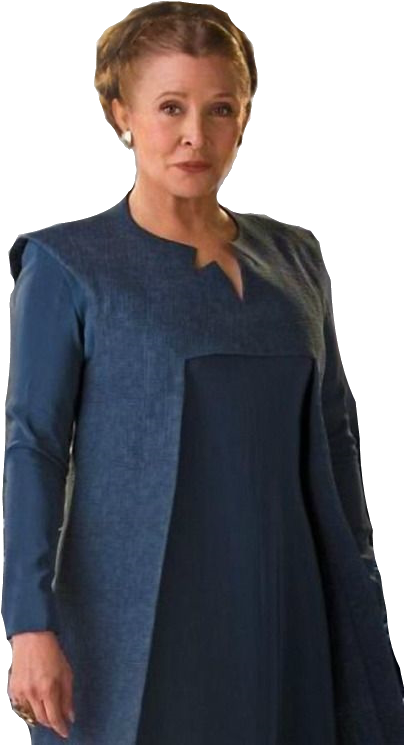 Png Princesa Leia - Carrie Fisher Transparent Clipart (516x810), Png Download