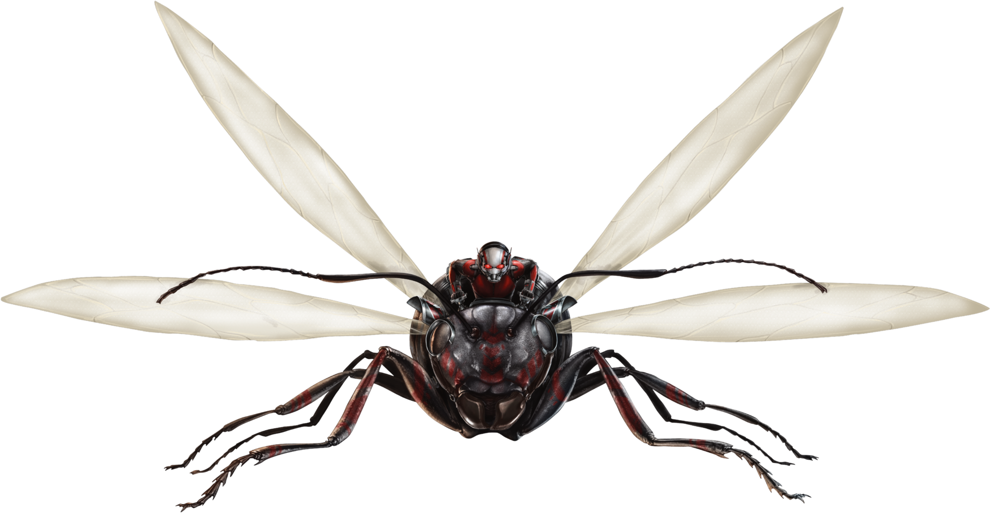 Ant Thony Fh Clipart (1953x1012), Png Download