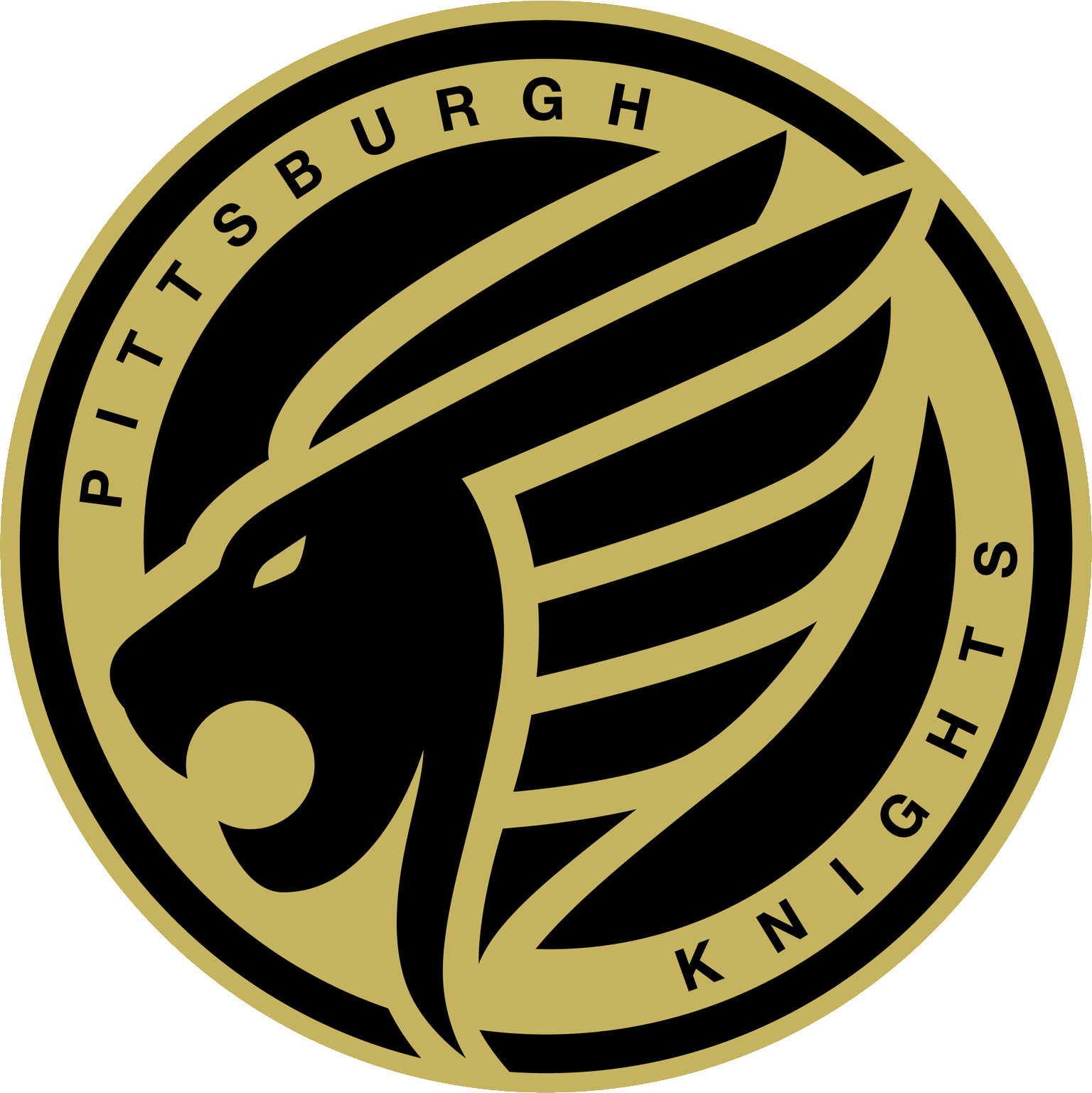 Pittsburgh Knights Logo Clipart (1536x1537), Png Download