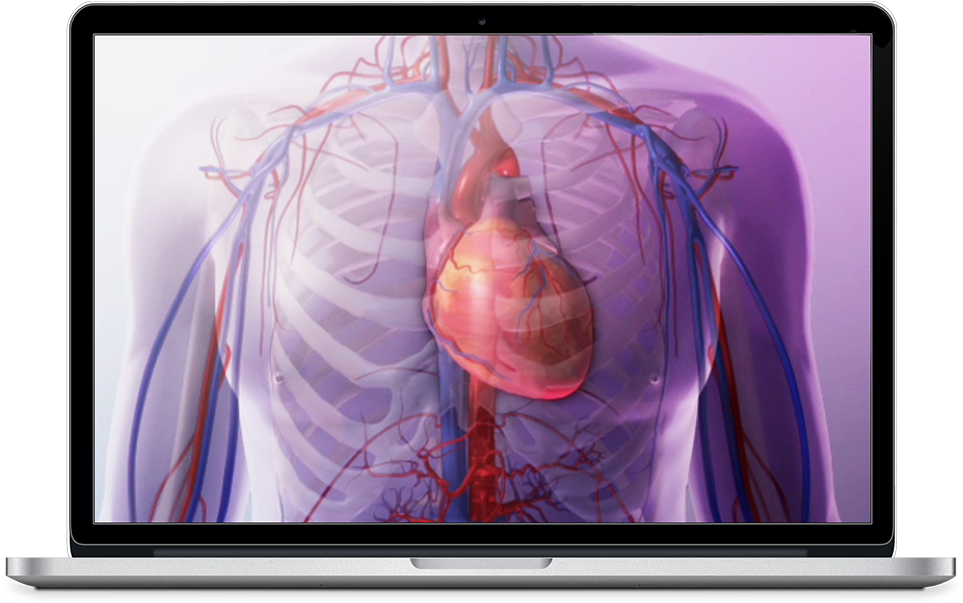 Watch A Demo For Heart And Circulatory Premium For - Led-backlit Lcd Display Clipart (972x602), Png Download