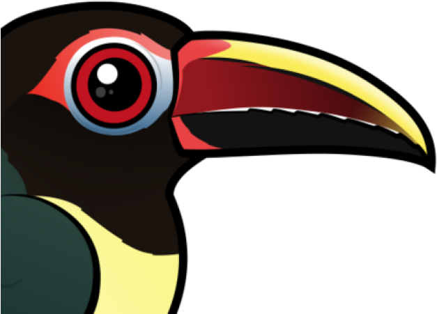Toucan Clipart (640x480), Png Download