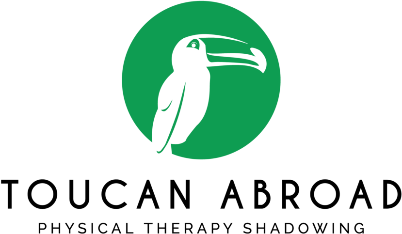 Toucan Png Clipart (1000x1000), Png Download