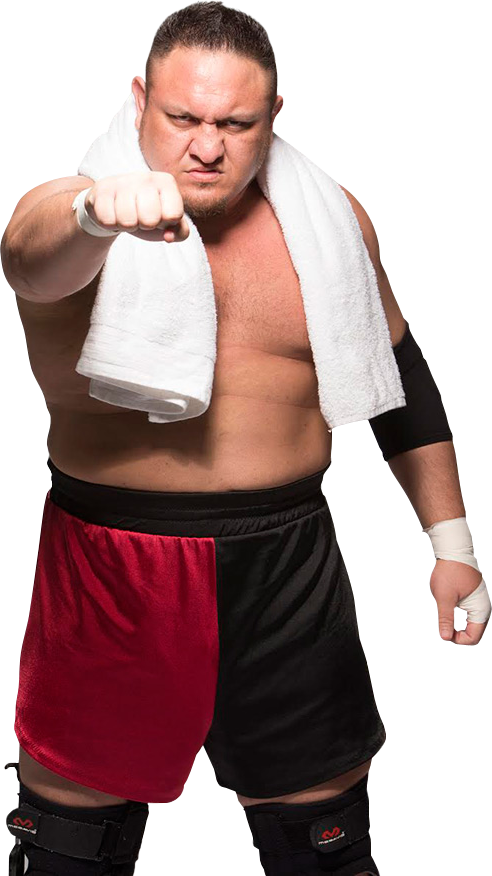 Samoa Joe Png - Wwe Samoa Joe Png Clipart (492x876), Png Download